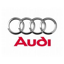 customer-audi 首页-ROWE中国-大幅面彩色打印机-扫描仪-数码蓝图机-工程机-叠图机-裁切机